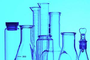 高輪台で信頼できる動物病院を見つけるための完全ガイド：健康診断から専門医療まで