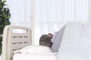 歯科医院で治療やメンテナンスを