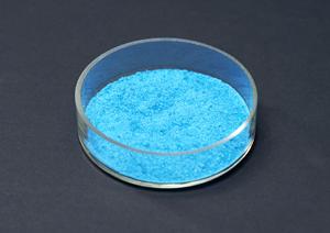 リウマチ治療の最新情報と信頼できる専門医を江東区で探そう