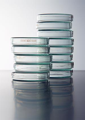 名取市での矯正歯科選び完全ガイド！子どもの健康と家族の笑顔を守るために知っておくべきポイント