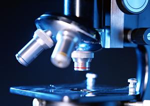 幼児から大人の矯正をこなす橋本の歯科