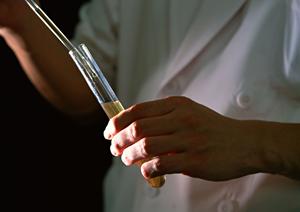 白金のしろかねたかなわクリニックについて