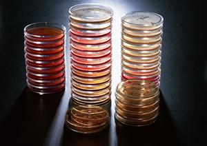 東京でこれ以上の出産を希望しないなら