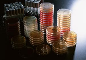 京都で胃内視鏡検査を受けるなら