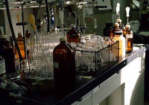 人形町にあるふくろうが目印の歯医者さんについて