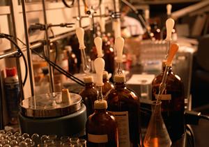 脂肪幹細胞を用いた変形性関節症治療